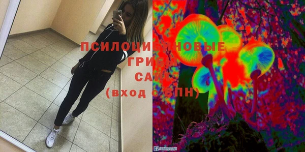 гашик Баксан
