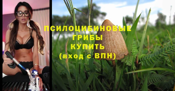 дмт Балабаново